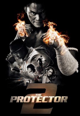 دانلود فیلم The Protector 2 2013